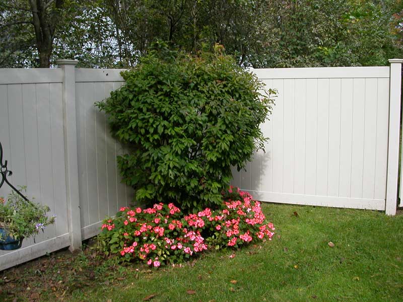 picture of a solid vinyl privacy fence shown in a customers back yard